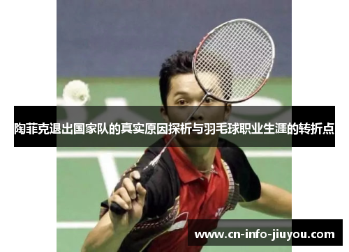 陶菲克退出国家队的真实原因探析与羽毛球职业生涯的转折点