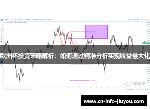 欧洲杯投资策略解析：如何通过精准分析实现收益最大化