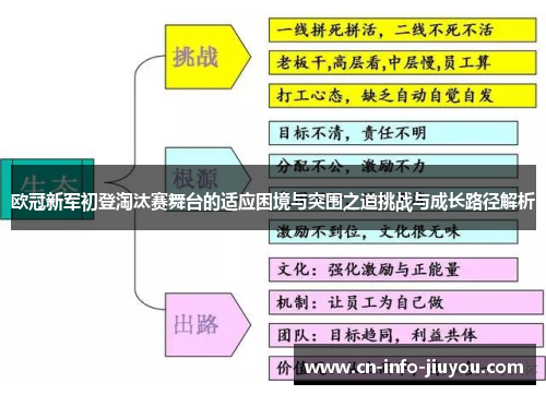 欧冠新军初登淘汰赛舞台的适应困境与突围之道挑战与成长路径解析