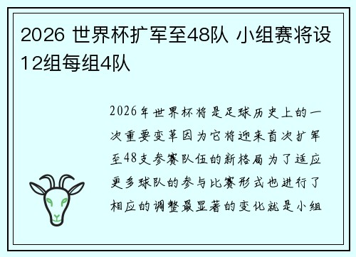 2026 世界杯扩军至48队 小组赛将设12组每组4队